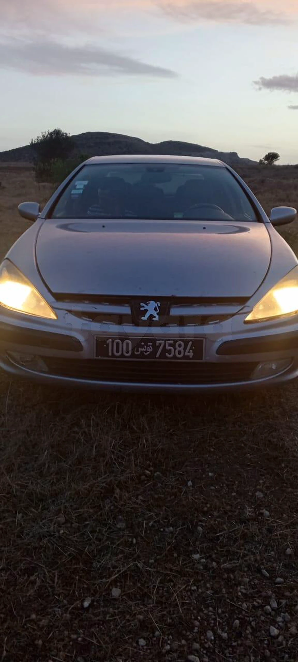 Carte voiture Peugeot 607