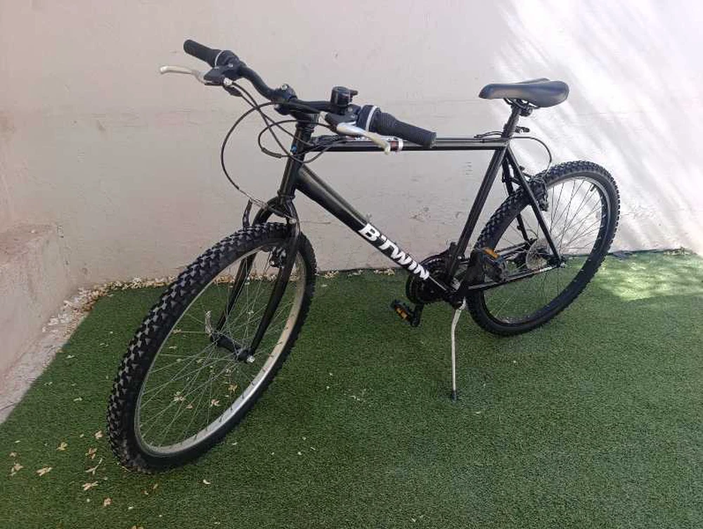 rockrider 300