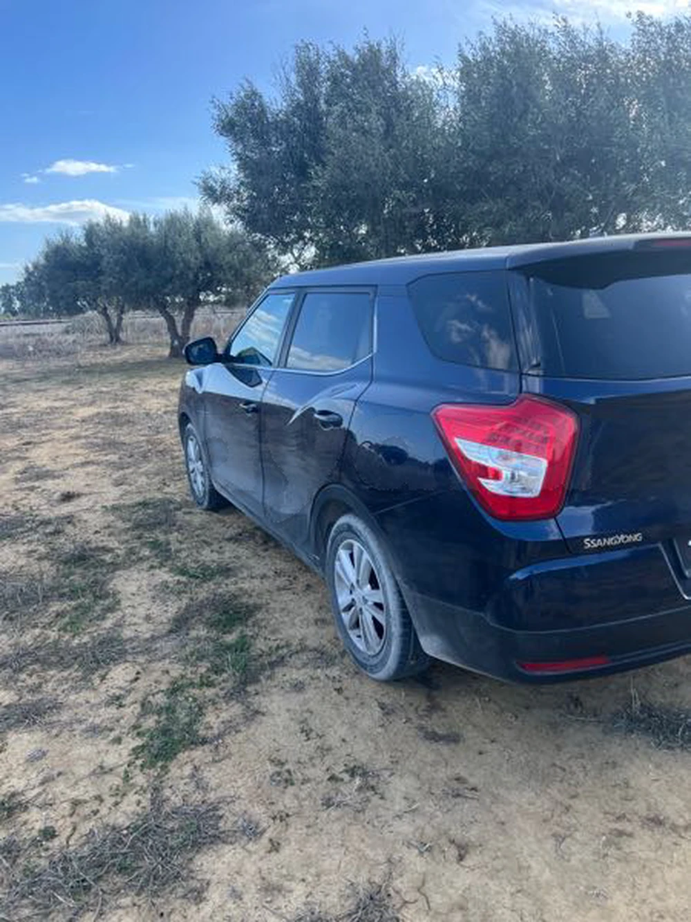 Carte voiture SsangYong Tivoli