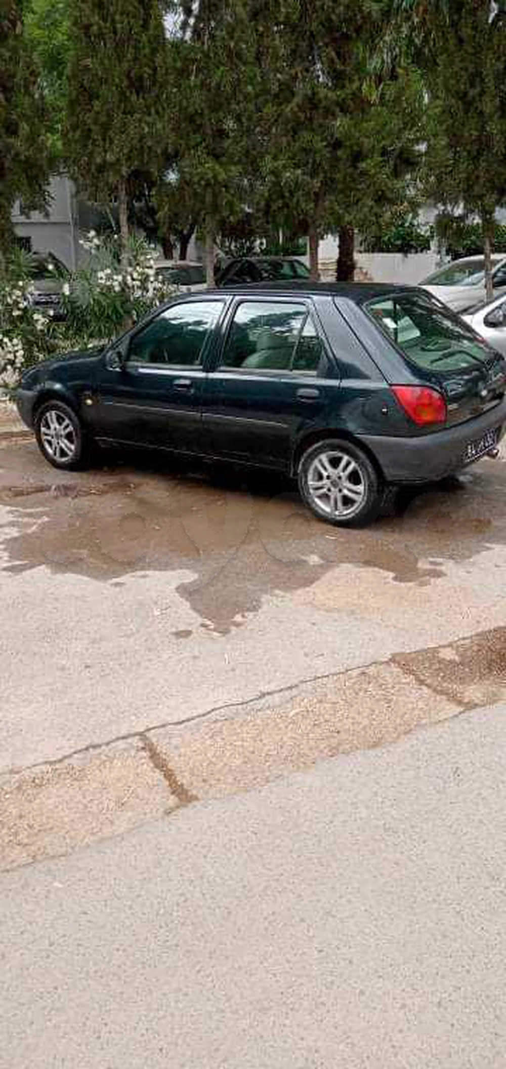 Carte voiture Ford Fiesta