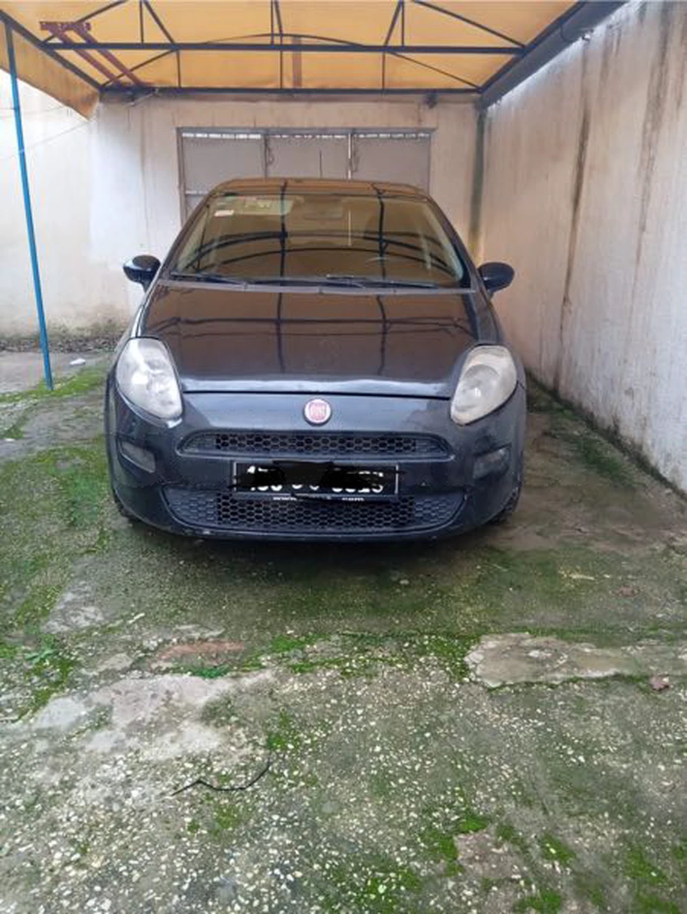 Carte voiture Fiat Punto