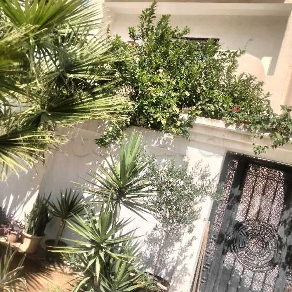 🏡 للإيجار شقة S+3 بالمنزه 9C