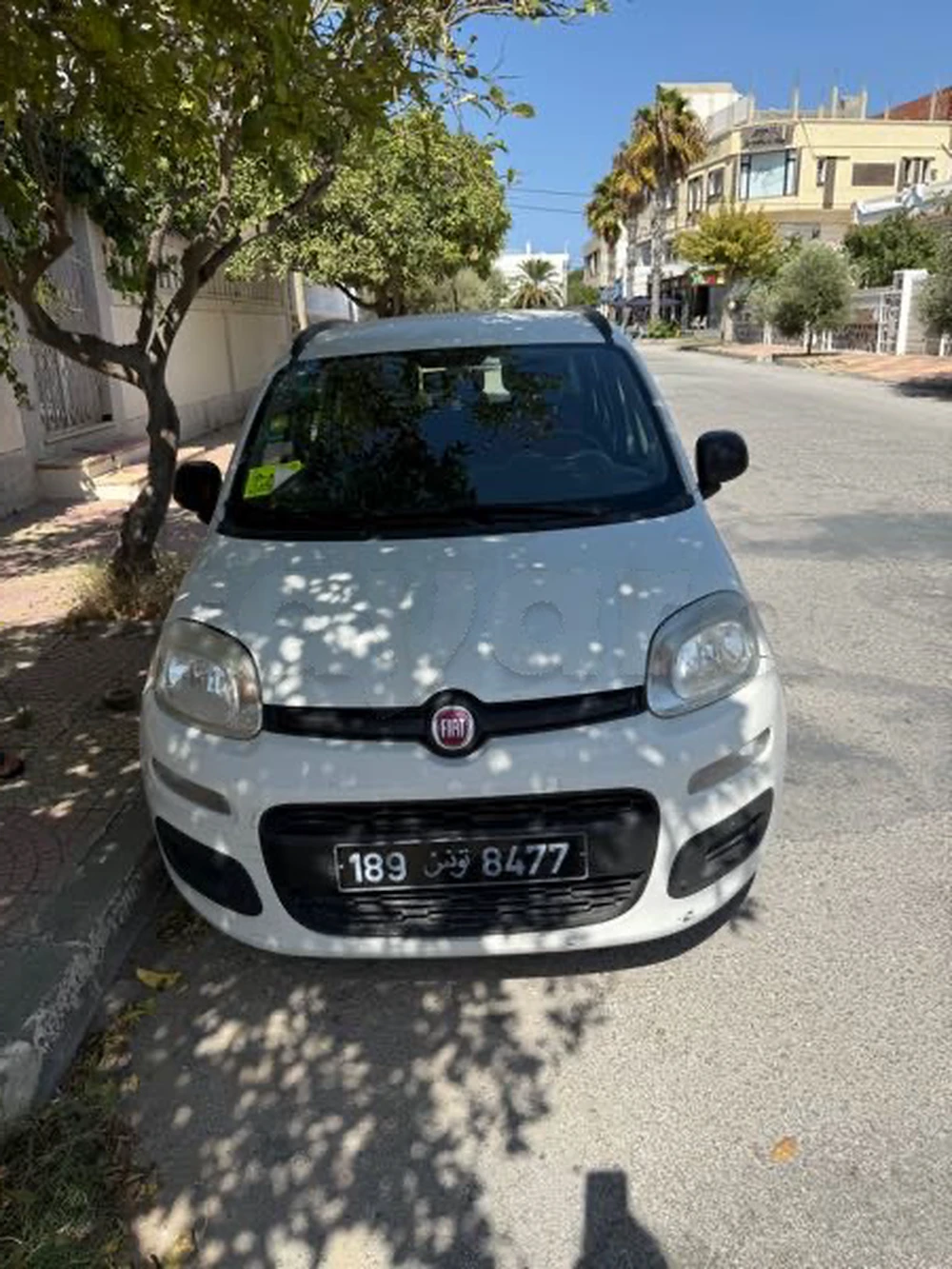 Carte voiture Fiat Panda