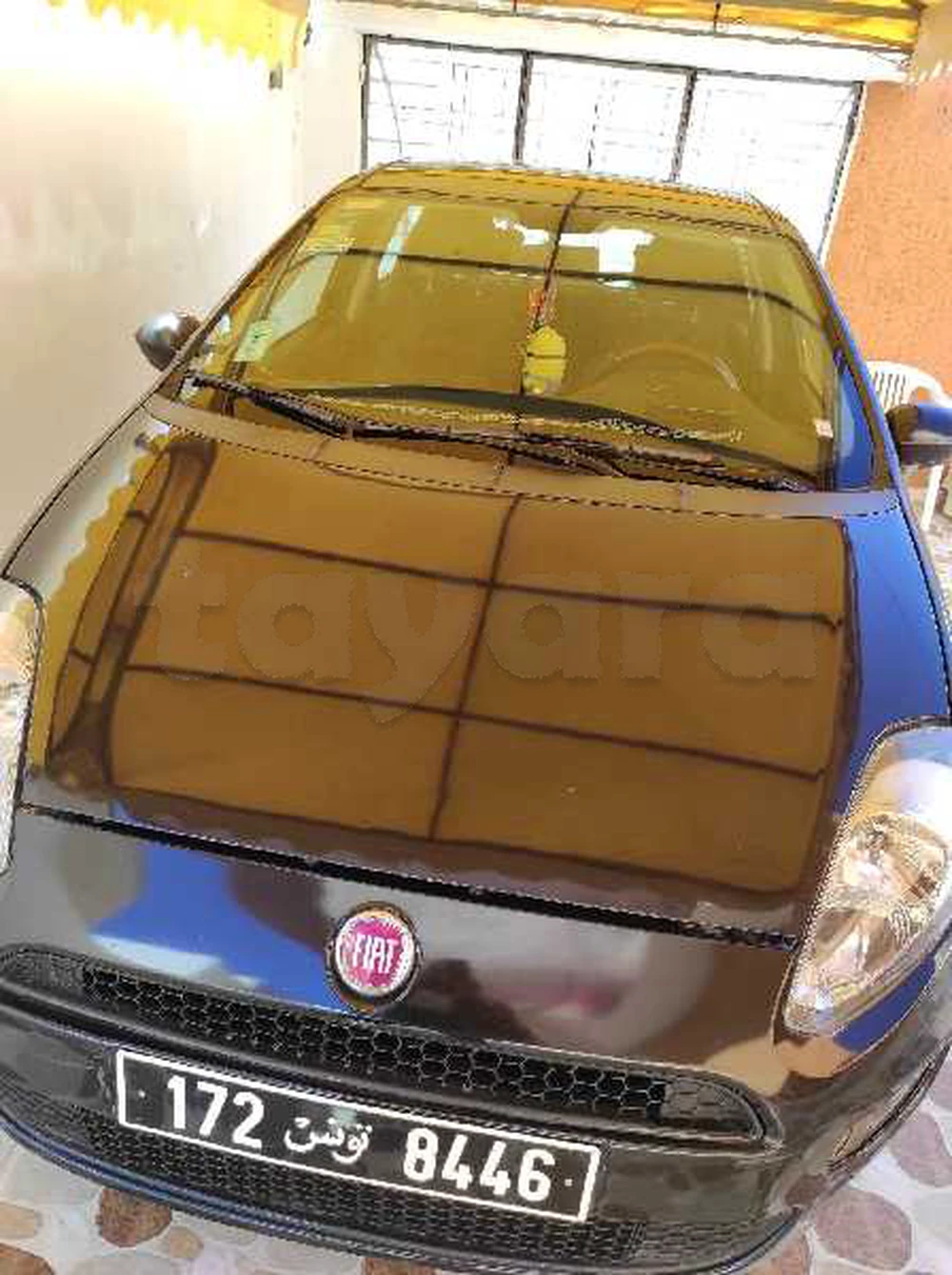 Carte voiture Fiat Punto