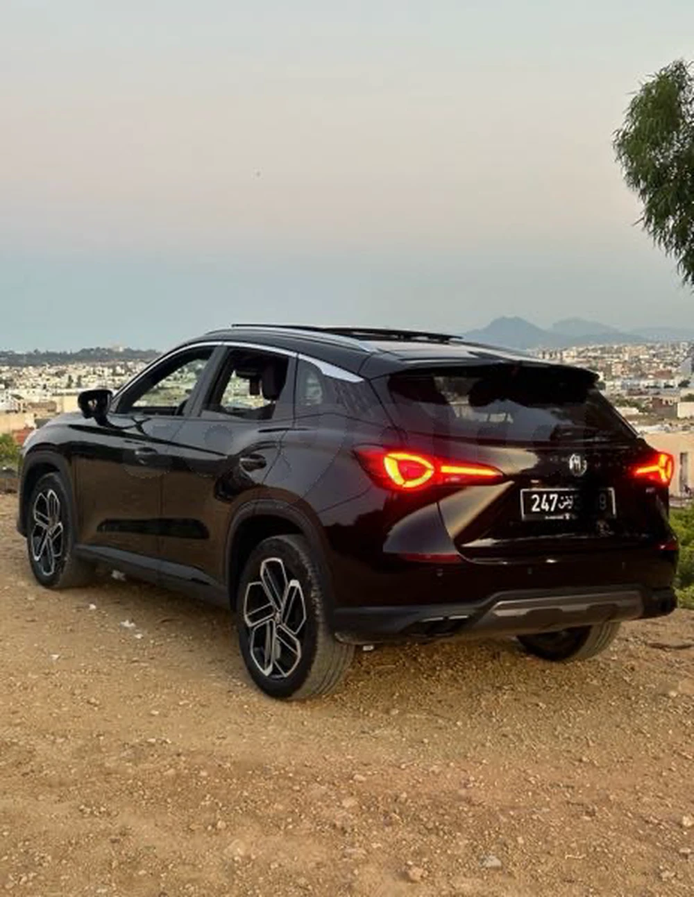 Carte voiture MG EZS