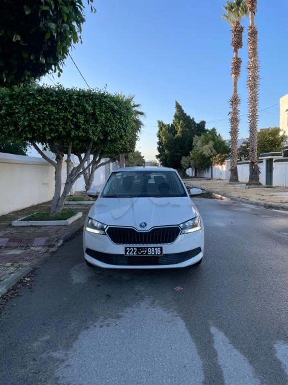 Carte voiture Skoda Fabia