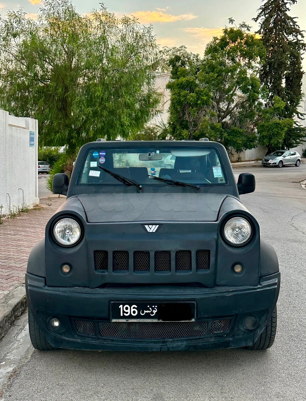 Wallyscar Iris