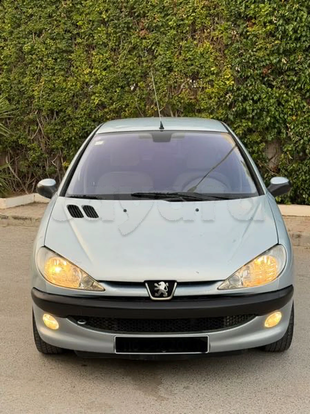 Carte voiture Peugeot 206