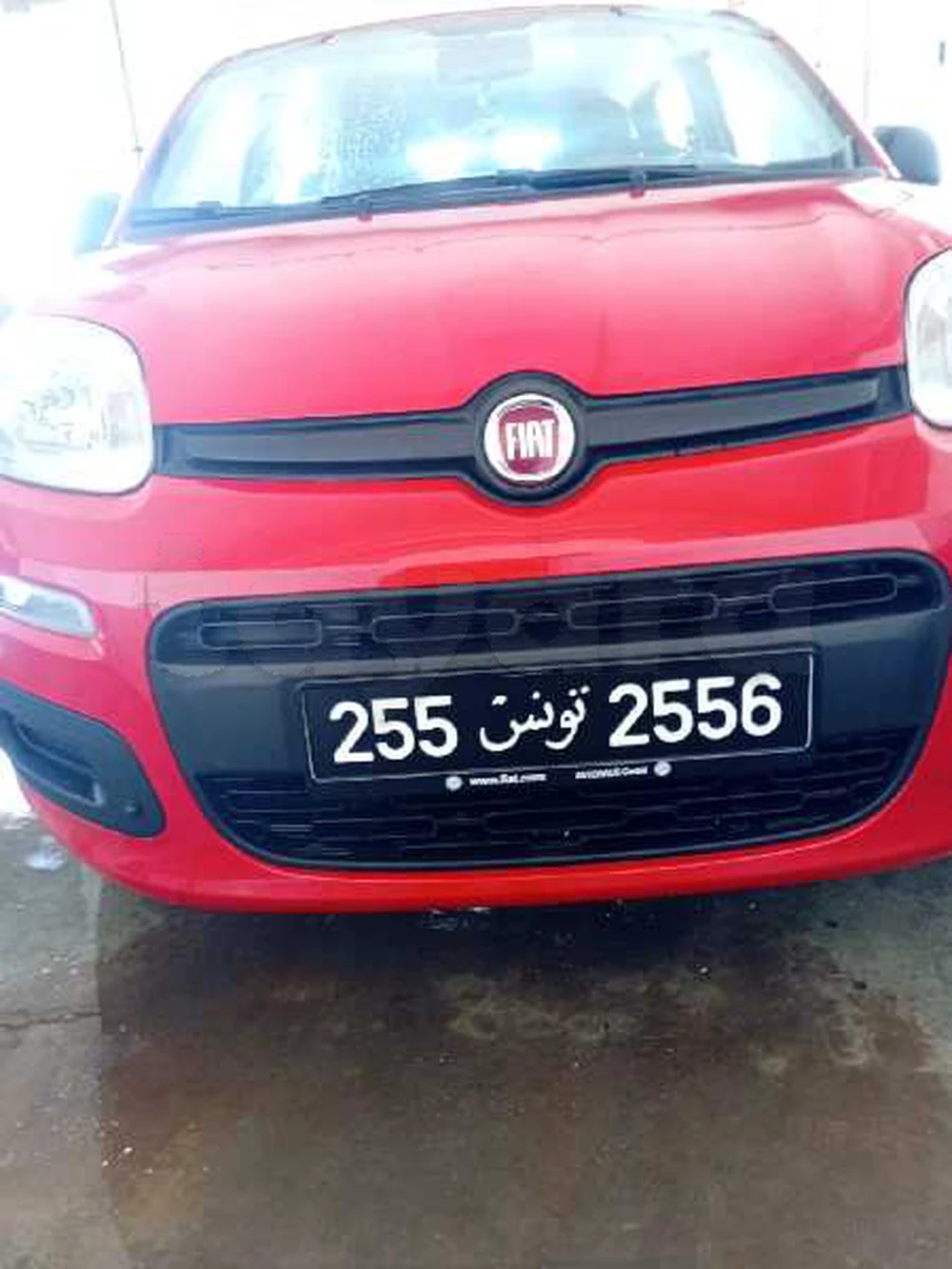 Carte voiture Fiat Panda