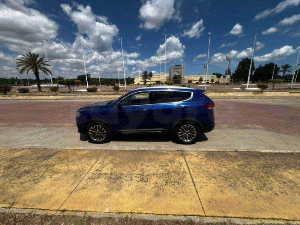 Carte voiture Haval H6