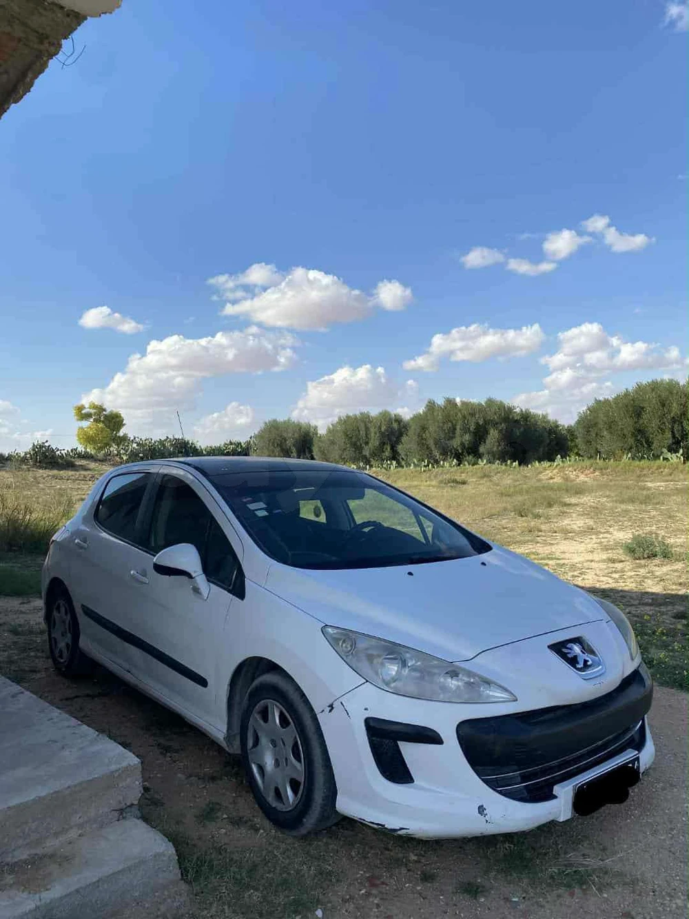 Carte voiture Peugeot 308