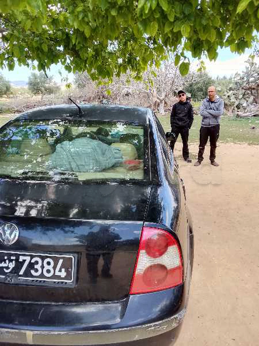 Carte voiture Volkswagen Passat