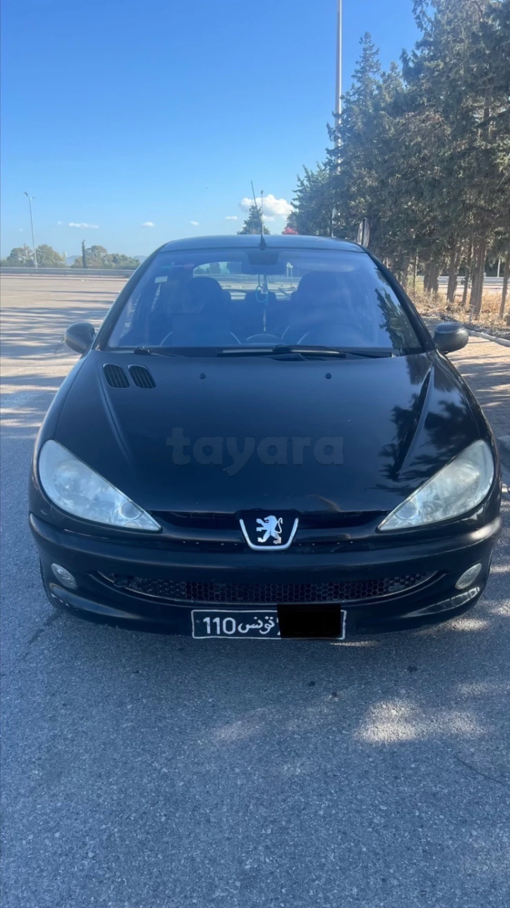 Carte voiture Peugeot 206