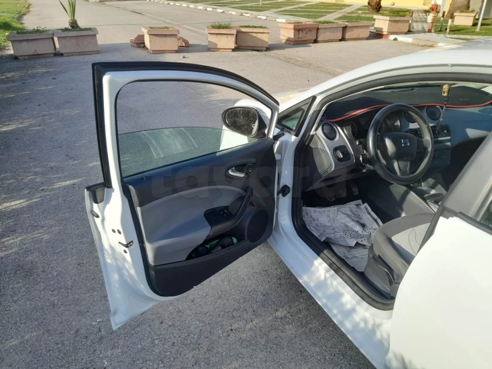 Carte voiture SEAT Ibiza