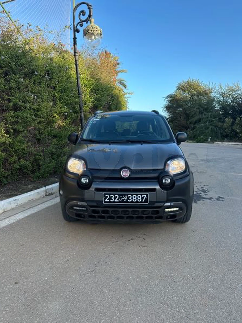 Carte voiture Fiat Panda