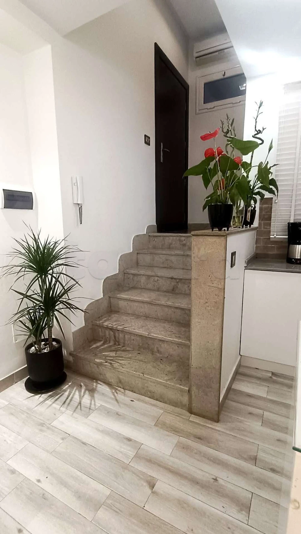 Appartement S+1 à louer