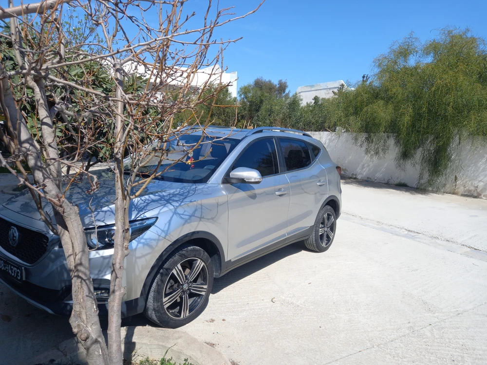 MG ZS