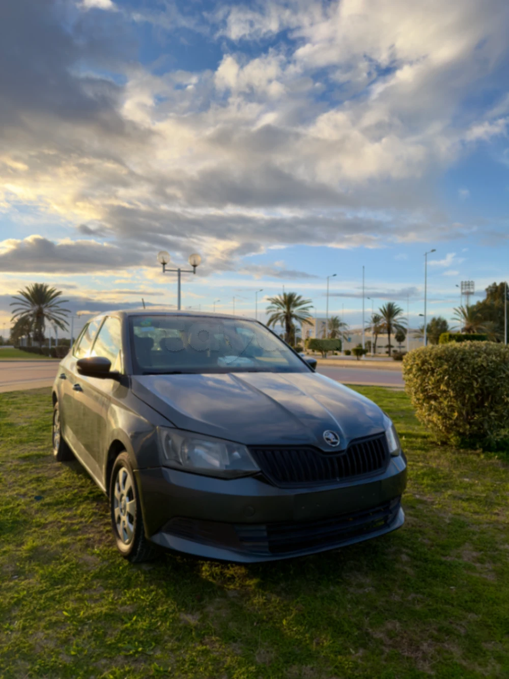 Carte voiture Skoda Fabia