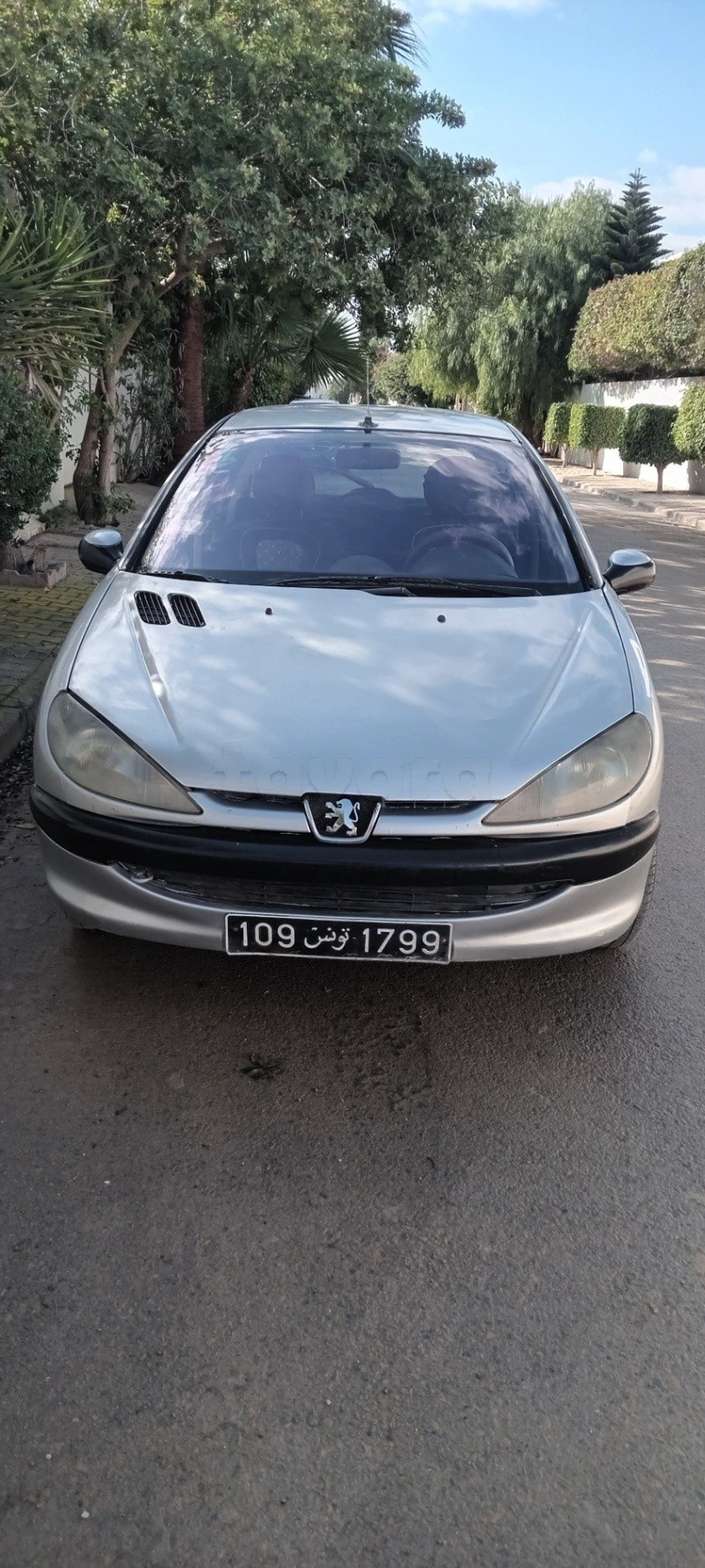 Carte voiture Peugeot 206