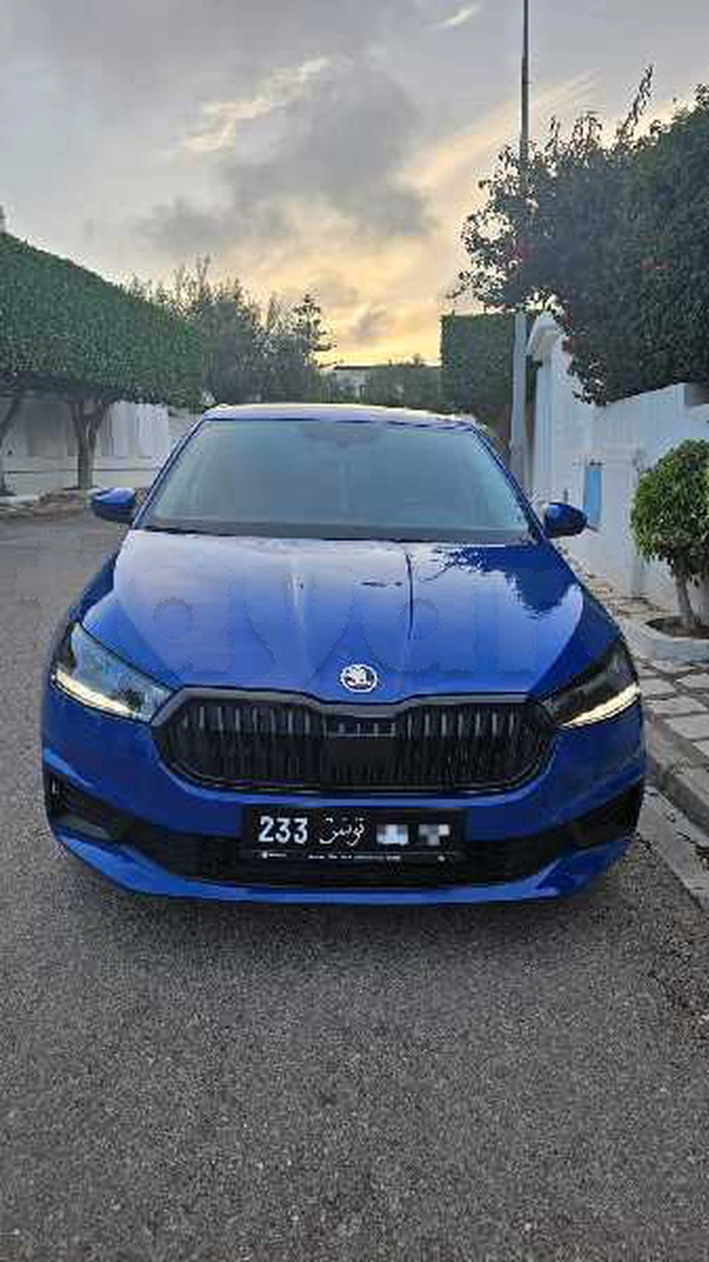 Carte voiture Skoda Fabia