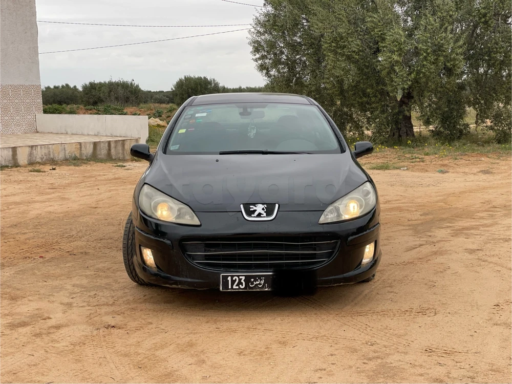 Carte voiture Peugeot 407