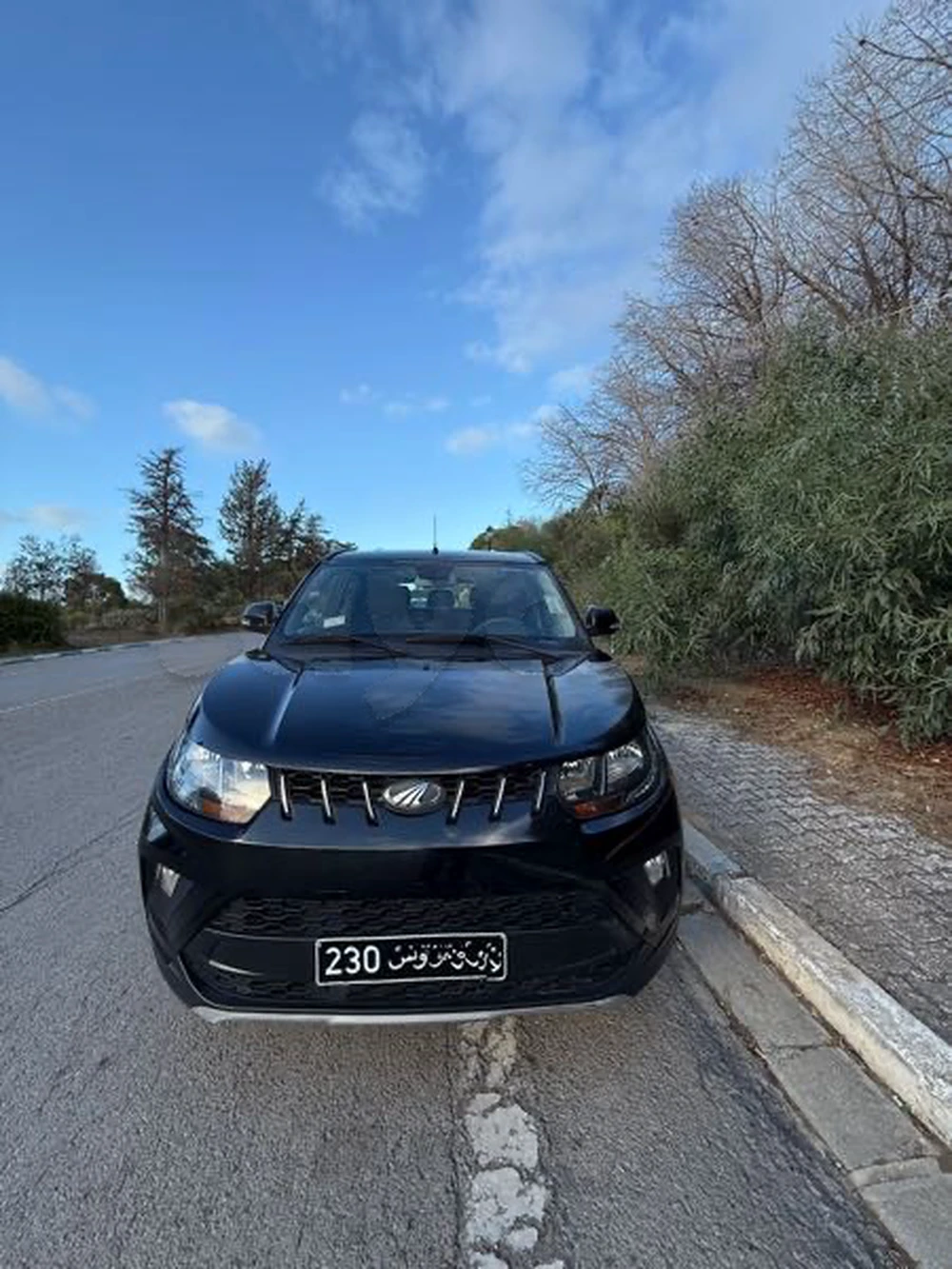 Carte voiture Mahindra Hover