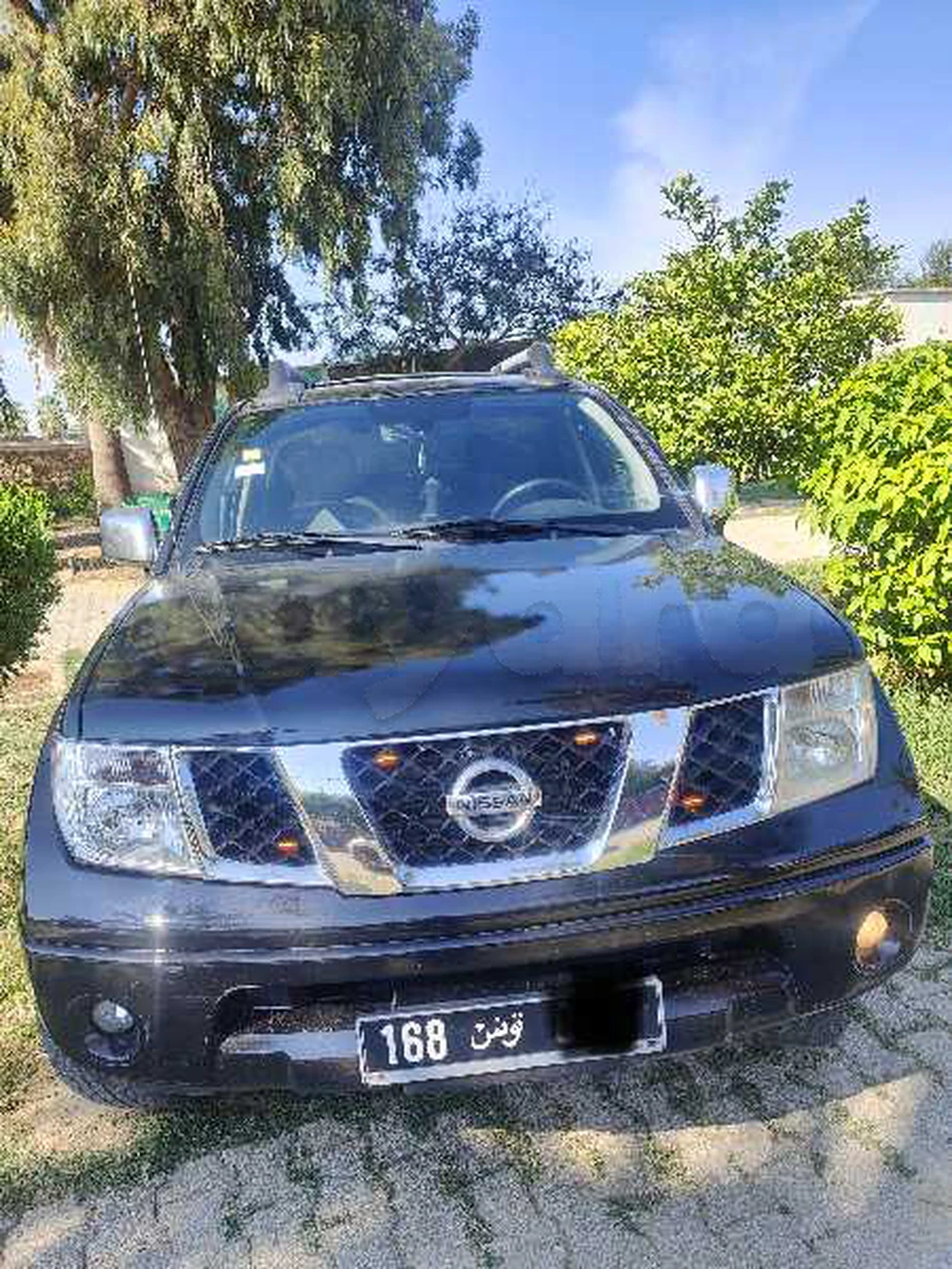 Nissan Navara