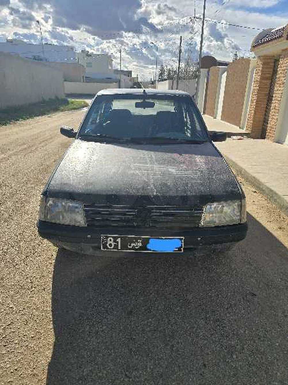 Carte voiture Peugeot 205