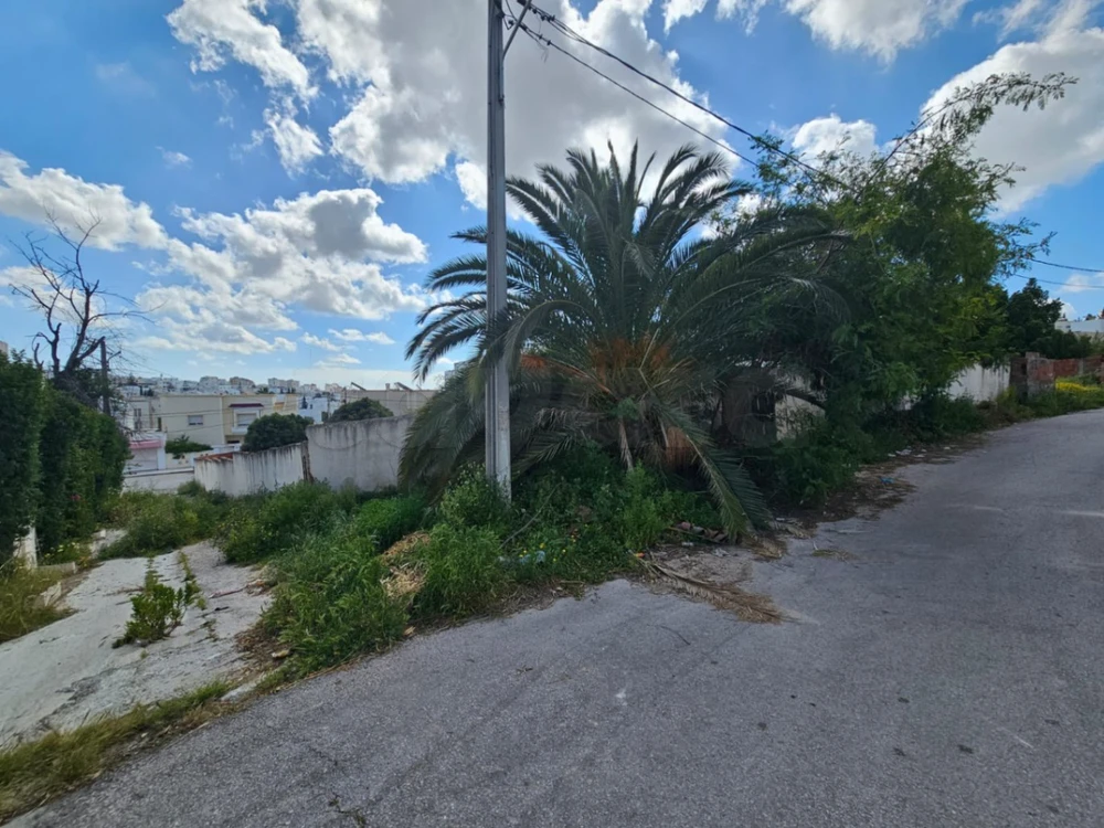 À VENDRE – TERRAIN R+2 À CITÉ EL FAOUZ, JARDINS D'EL MENZAH 2
