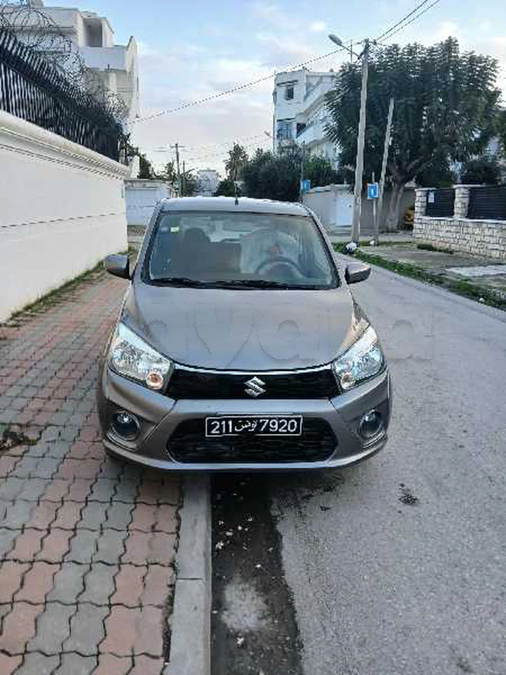 Carte voiture Suzuki Celerio