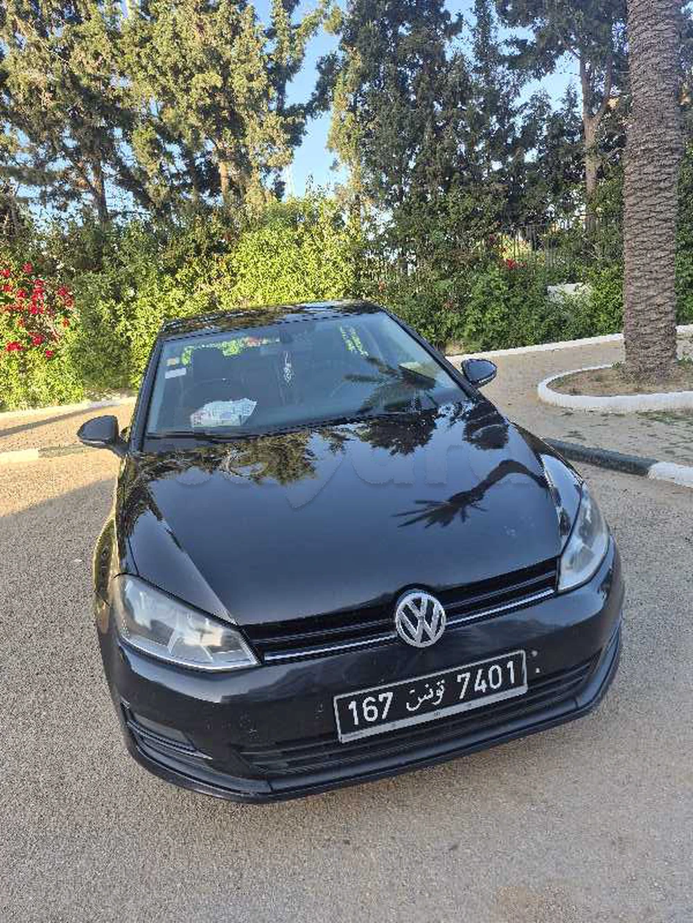 Carte voiture Volkswagen Golf