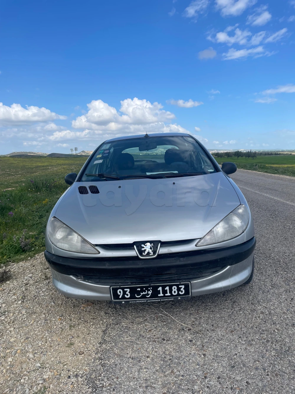 Carte voiture Peugeot 206