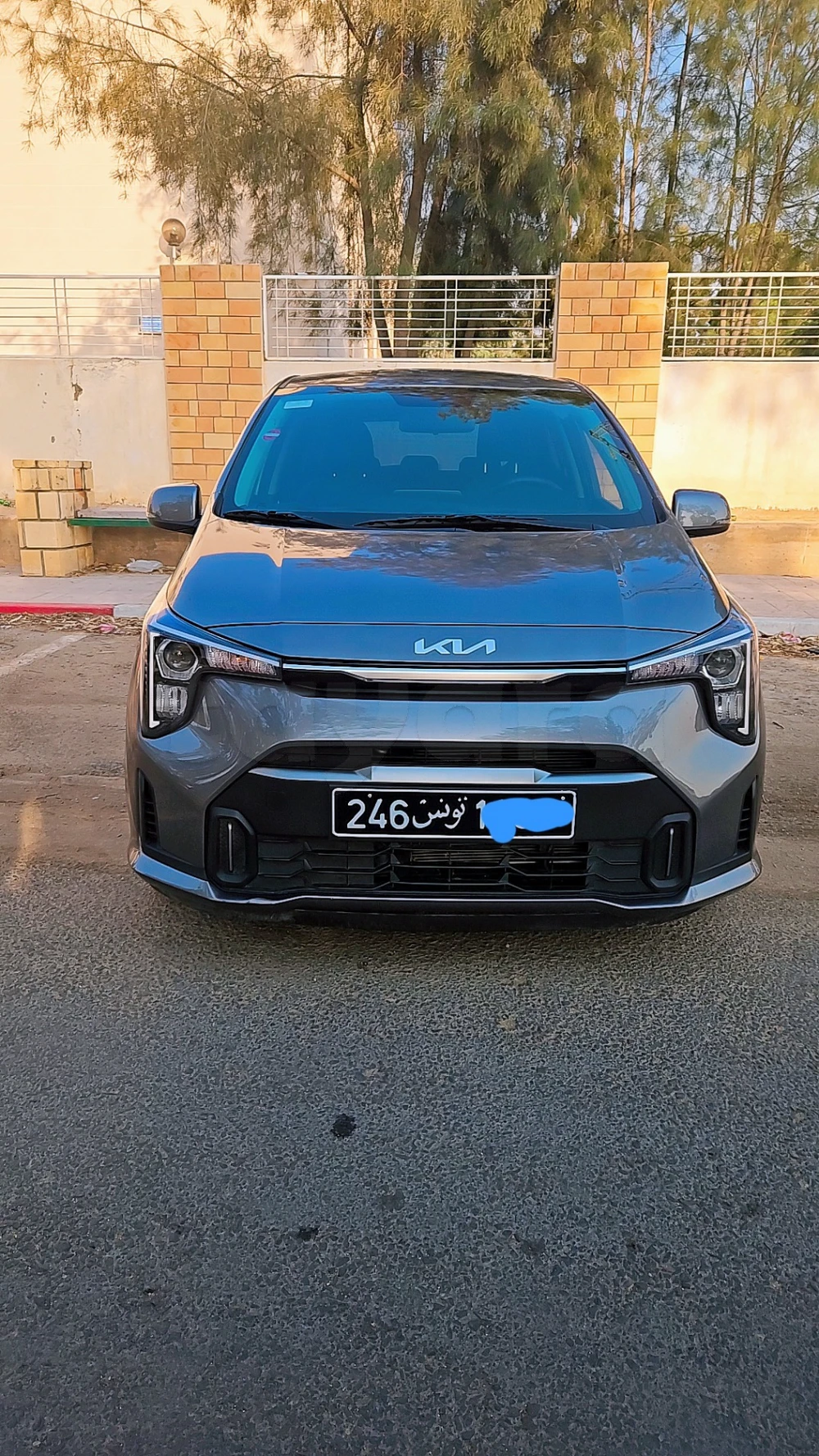 Carte voiture Kia Picanto