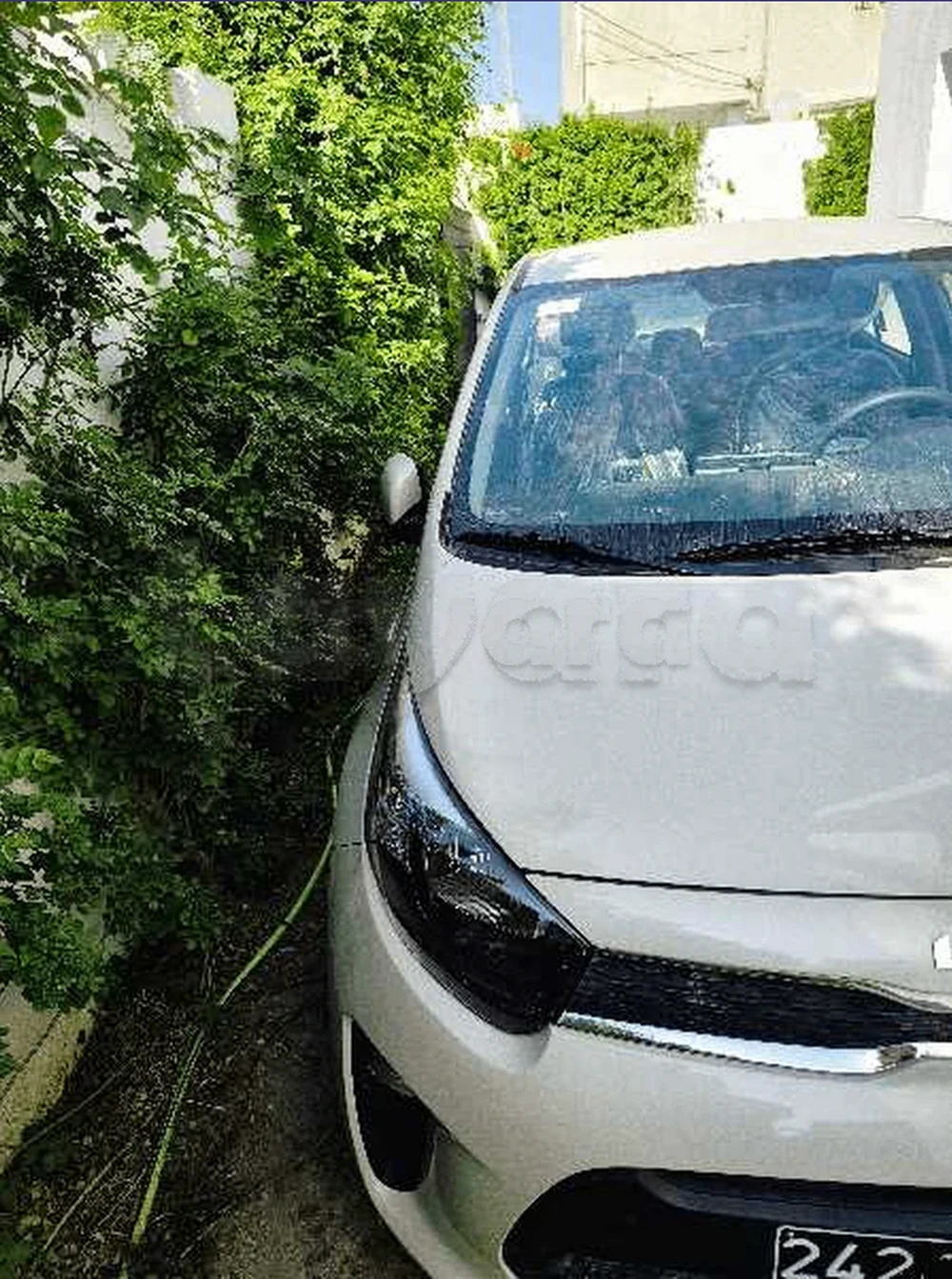 Carte voiture Kia Picanto