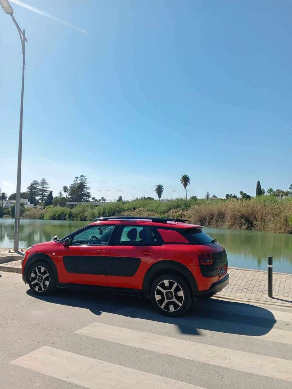 Carte voiture Citroen C4 Cactus