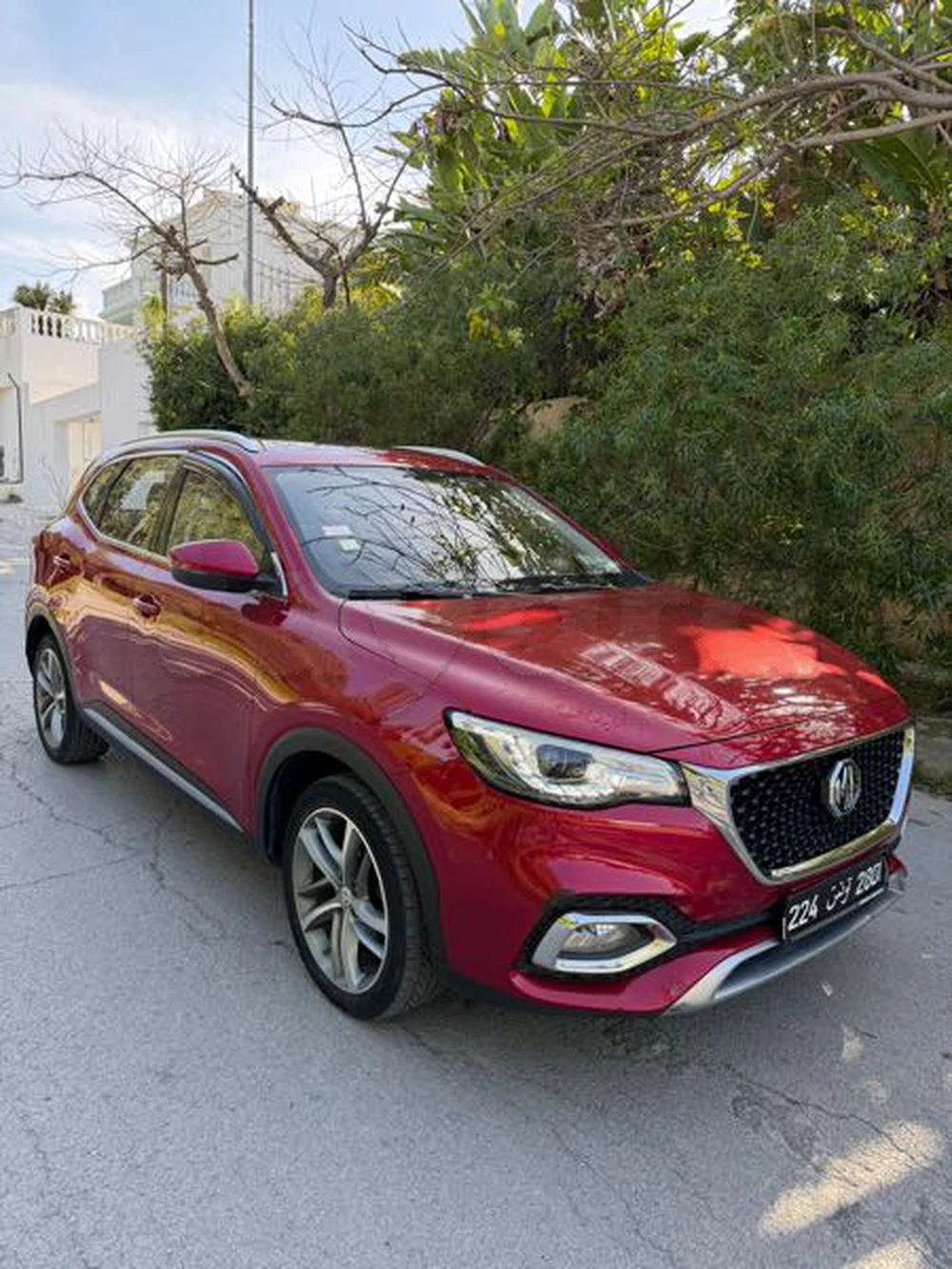 MG HS