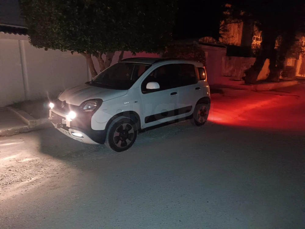 Carte voiture Fiat Panda