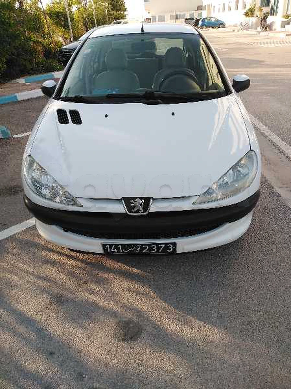 Carte voiture Peugeot 206