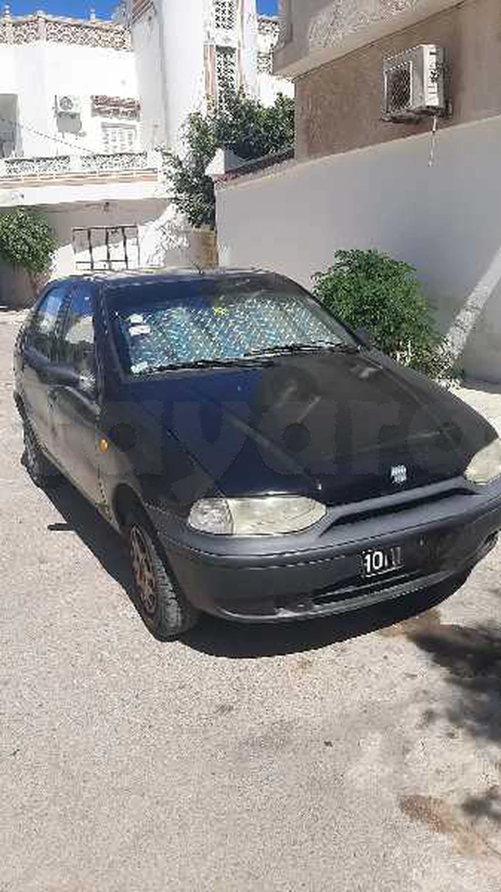 Carte voiture Fiat Palio