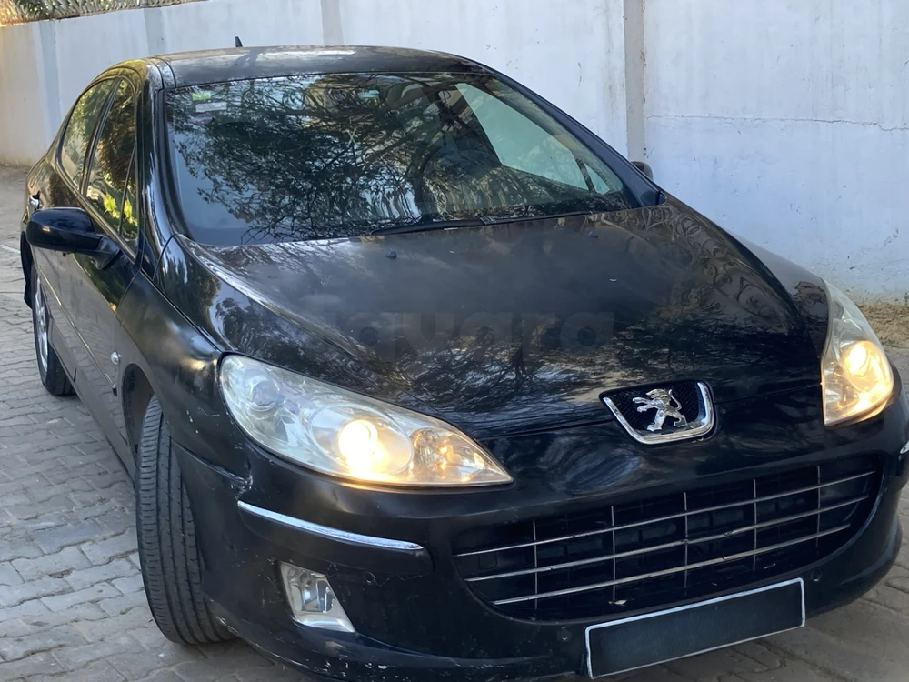 Peugeot 407