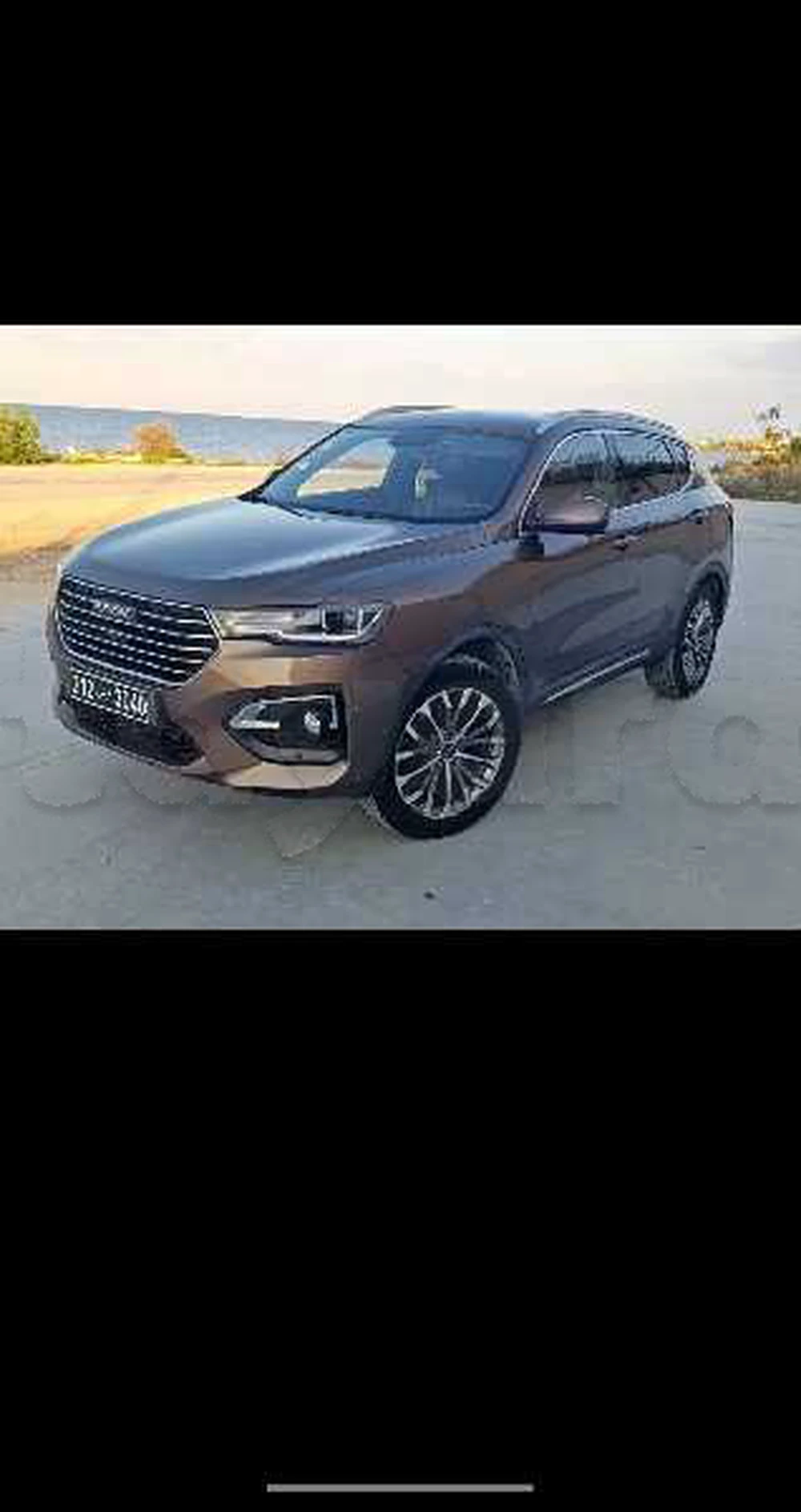 Carte voiture Haval H6