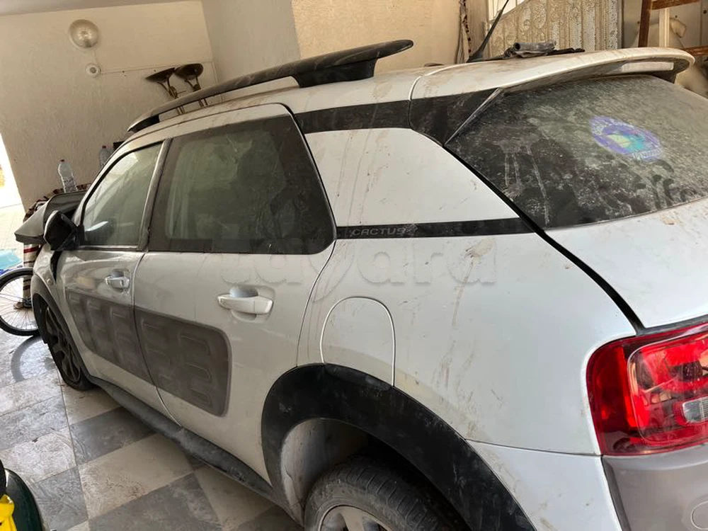 Citroen C4 Cactus