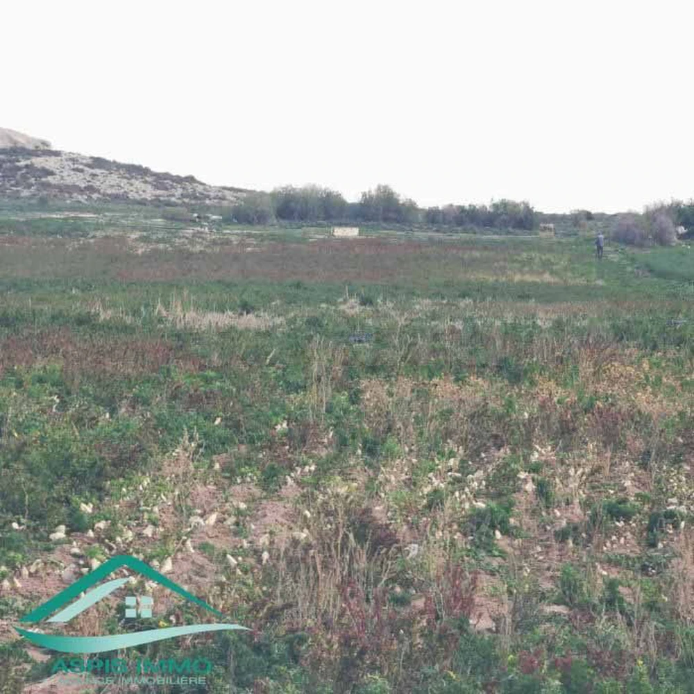 Terrain agricole 5966 m² à Menzel temim