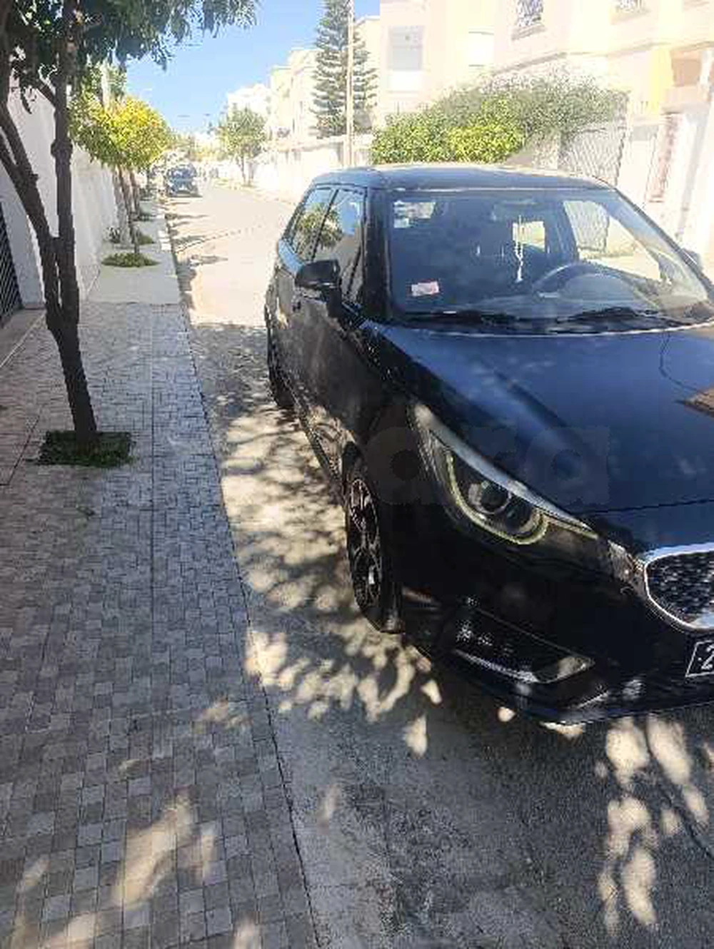 MG 3
