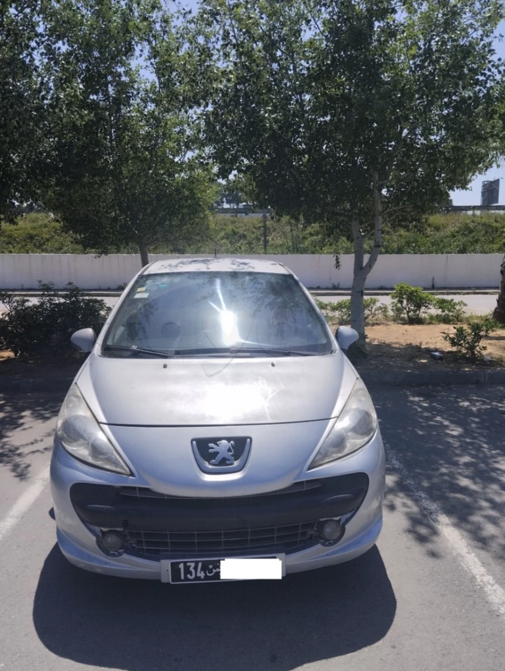 Carte voiture Peugeot 207