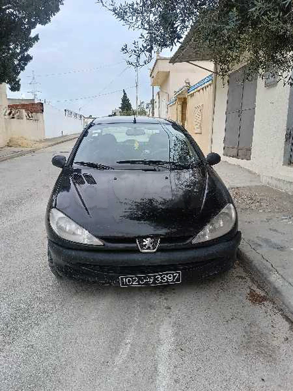 Carte voiture Peugeot 206