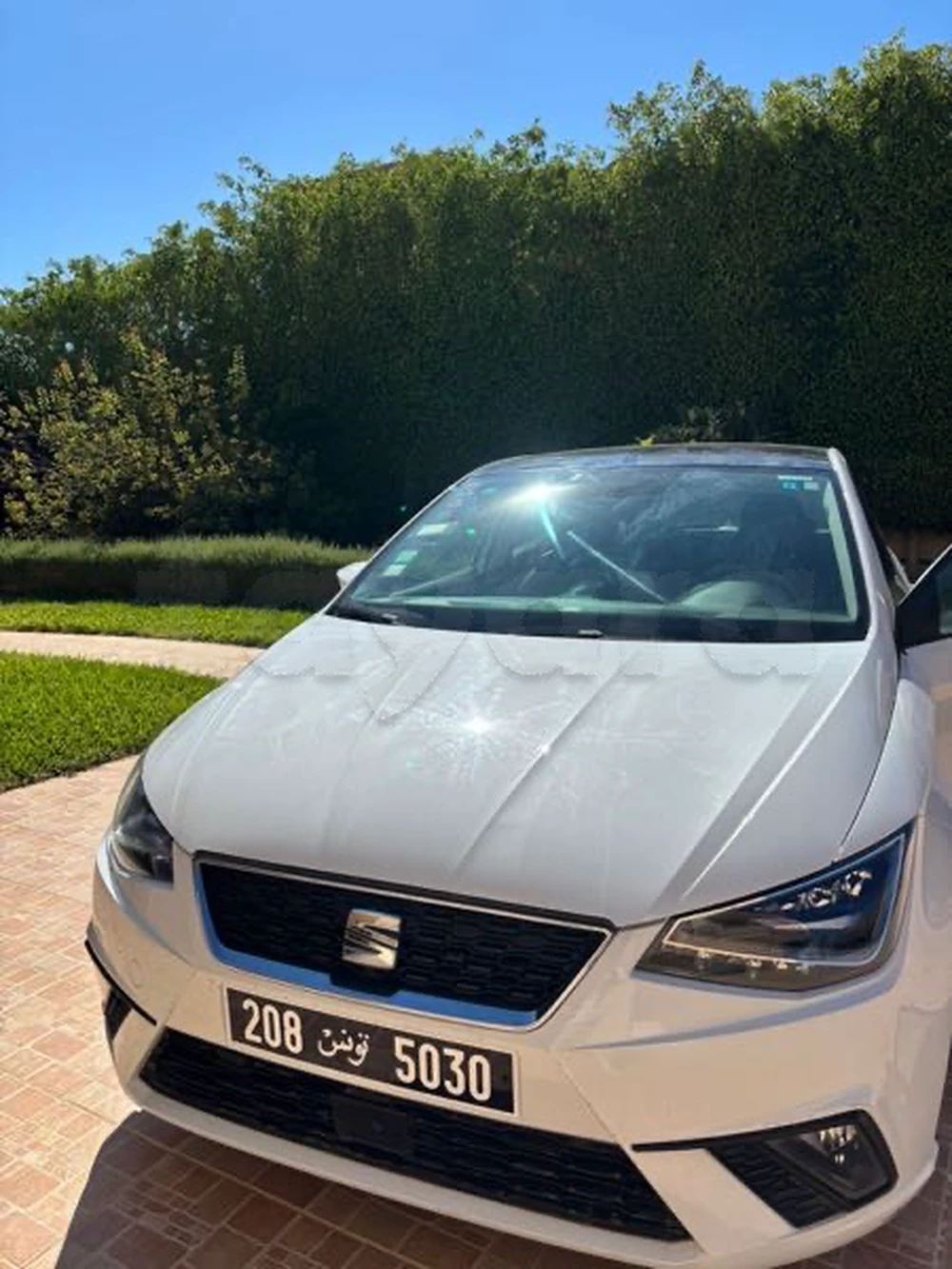 Carte voiture SEAT Ibiza