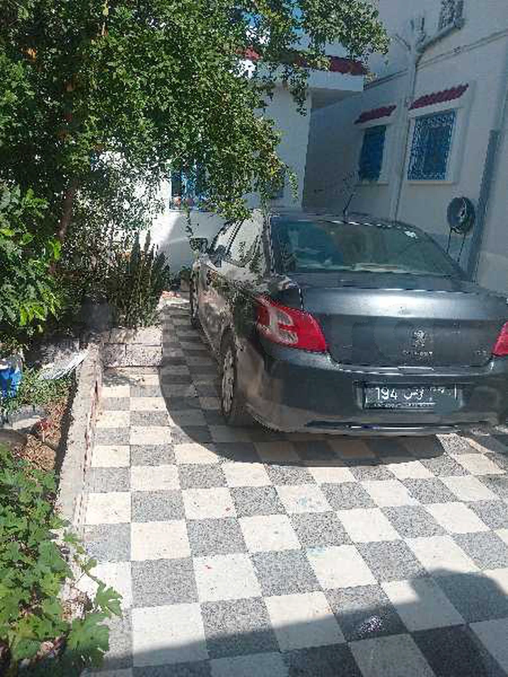 Peugeot 301