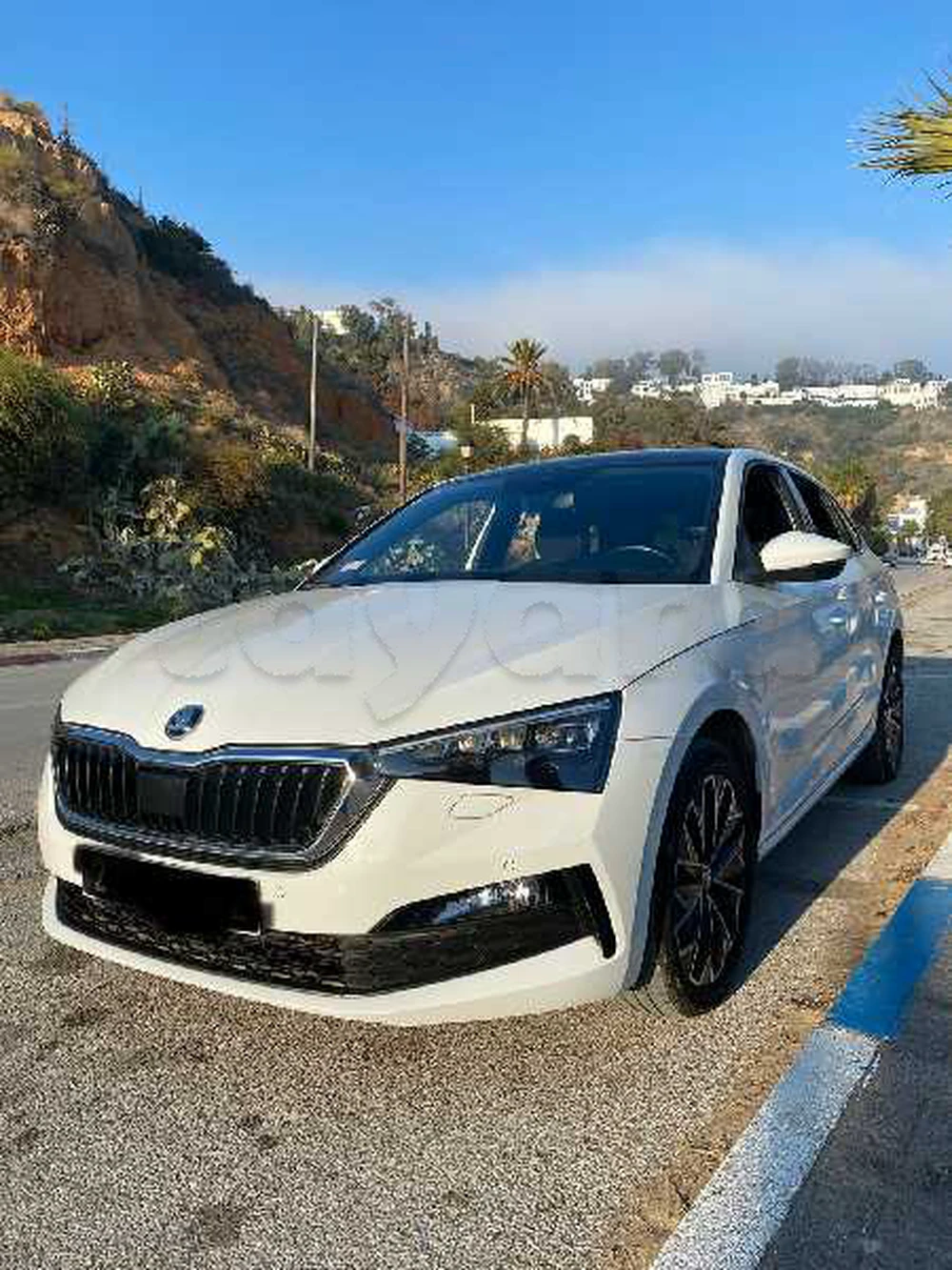 Carte voiture Skoda Octavia