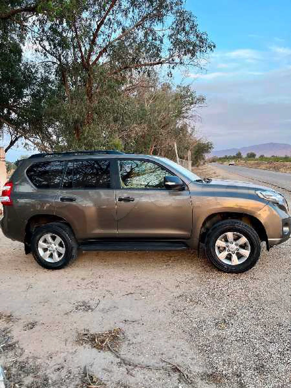 Carte voiture Toyota Prado